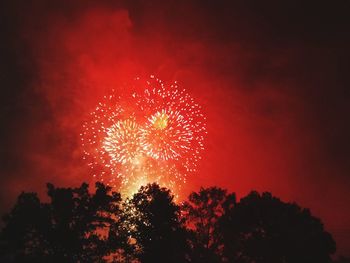 Low angle view of firework display against sky at night