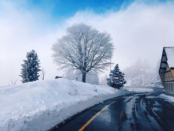 Snow covered road along trees