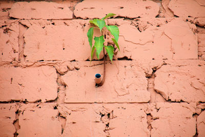 Full frame shot of weathered wall