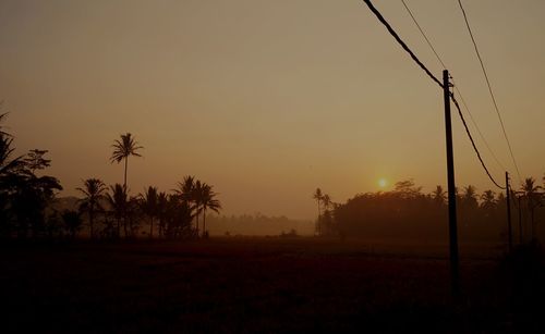 Silhouette of trees at sunset