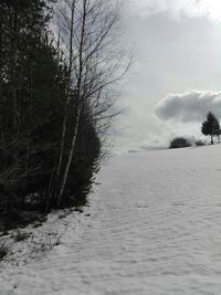 Bare tree on snow covered landscape