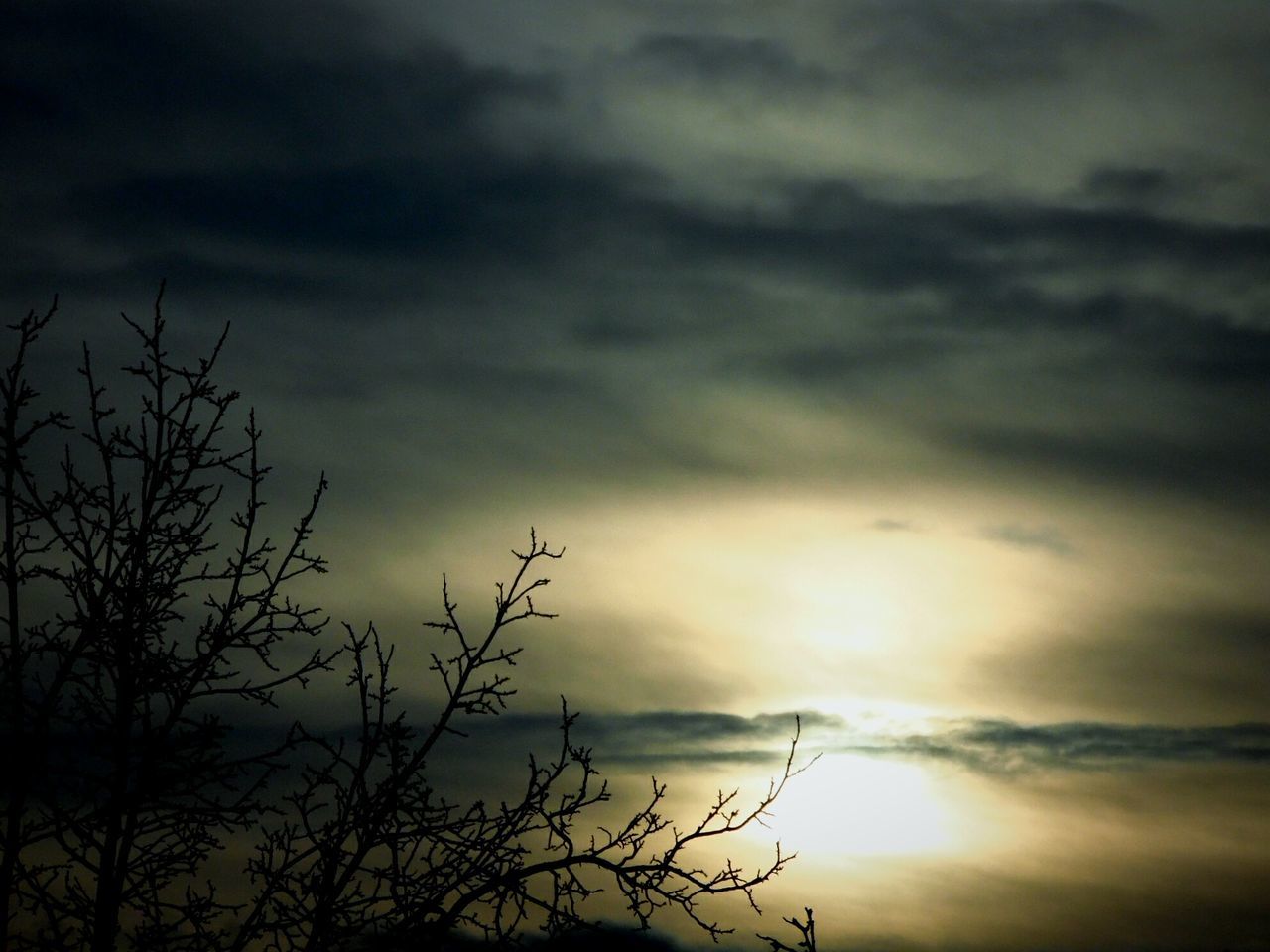 sky, silhouette, cloud - sky, sunset, low angle view, cloudy, tranquility, beauty in nature, scenics, tranquil scene, nature, weather, bare tree, overcast, cloud, dramatic sky, tree, atmospheric mood, dusk, idyllic