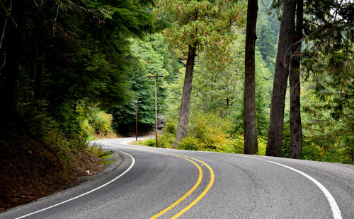 Road amidst trees in forest