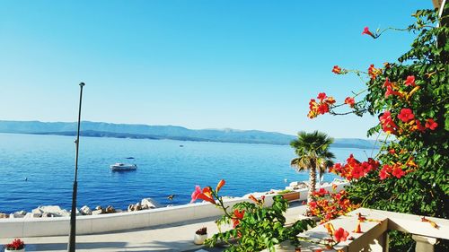 Scenic view of calm sea against blue sky