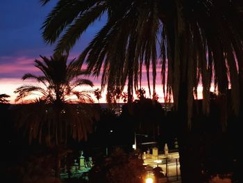 Low angle view of palm trees against sky at night