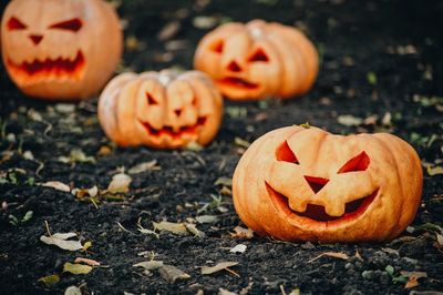 View of pumpkins on stone during autumn