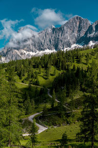 Day photo of a path leading to rocky mountain with clouds and a green forest