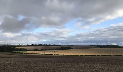 Scenic view of field against sky