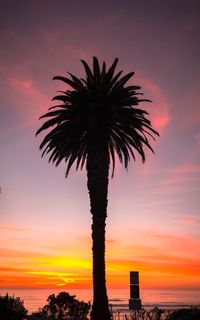 Low angle view of silhouette tree against sky during sunset