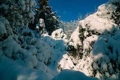 Scenic view of frozen lake against blue sky