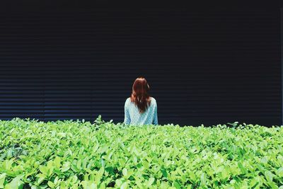 Rear view of woman standing by plants