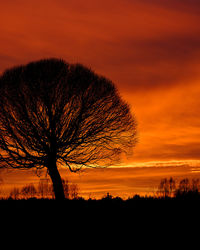 Silhouette tree on field against romantic sky at sunset