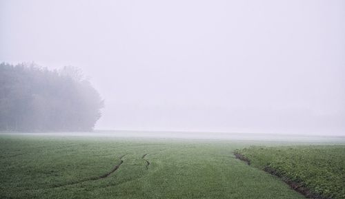 Scenic view of landscape in foggy weather