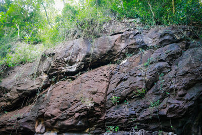 Close-up of rock