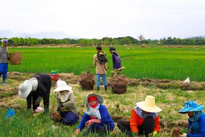 Rear view of people sitting on grassy field