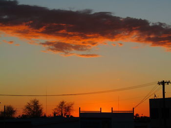 Low angle view of silhouette trees against orange sky