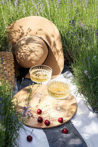 Summer picnic on a lavender field with champagne glasses and cherry berries