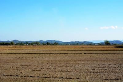 Scenic view of field against blue sky