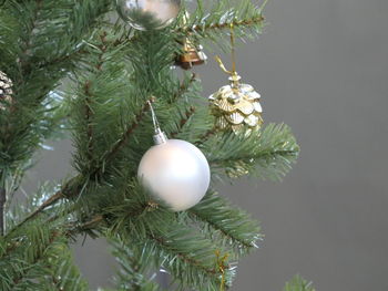 Close-up of christmas tree