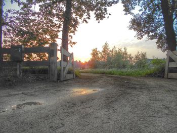 Trees on landscape at sunset