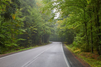 Empty road amidst trees