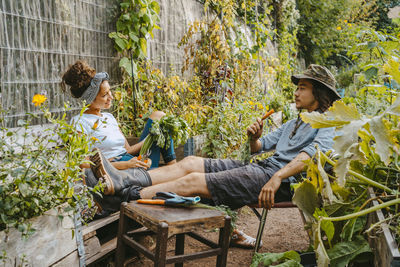 Male and female farmers having carrots while talking in community garden