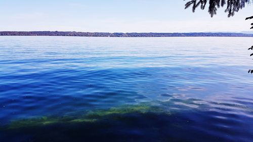 Scenic view of sea against blue sky