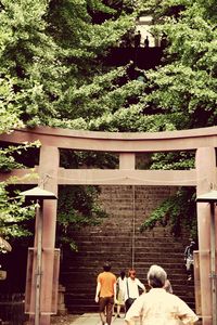 View of trees against built structure