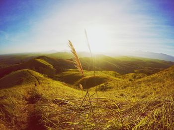 Scenic view of landscape against sky