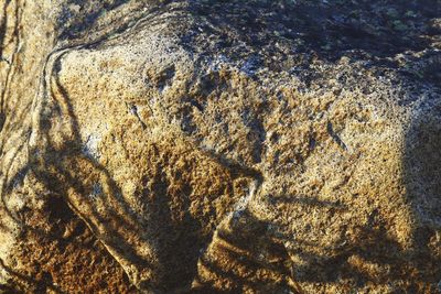 Full frame shot of rock in water