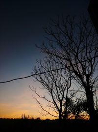 Silhouette of bare trees at sunset