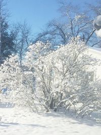 Snow covered landscape