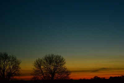 Silhouette bare trees against clear sky at sunset