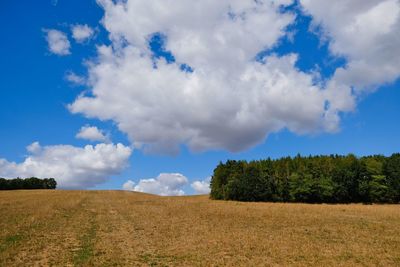 Scenic view of agricultural field against sky