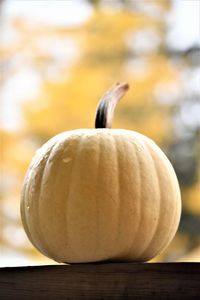 Close-up of pumpkin on table