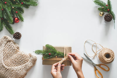 Midsection of woman holding christmas tree