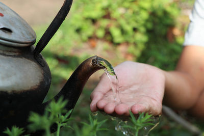 Close-up of hand holding plant