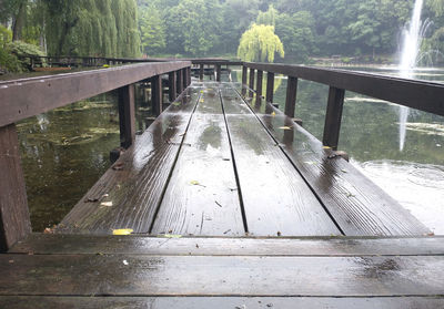 bridge