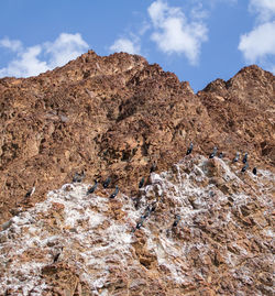 Low angle view of rock formations against sky