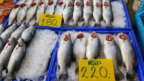 Fish for sale at market stall