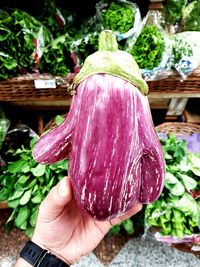 Close-up of hand holding vegetables at market