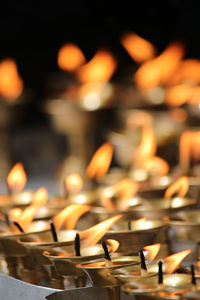 Close-up of illuminated diyas