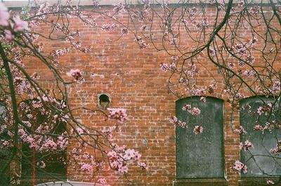 Weathered wall of old building