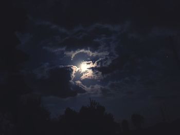 Low angle view of silhouette trees against sky at night