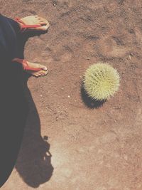 Silhouette of man in background