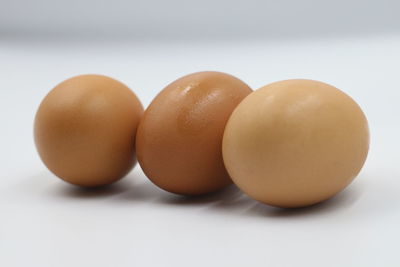 Close-up of eggs against white background
