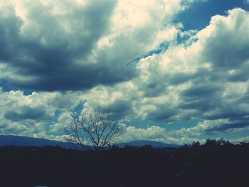 Low angle view of silhouette trees against sky