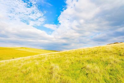 Scenic view of field against sky