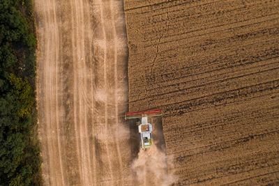 Scenic view of agricultural field