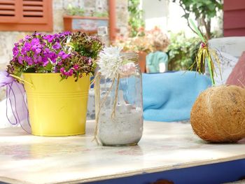 Close-up of potted plant on table